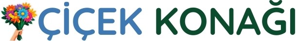 https://www.instagram.com/cicekkonagi/